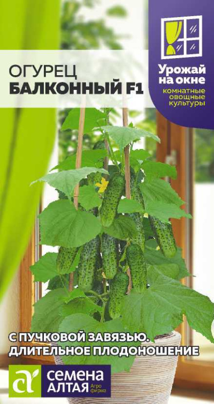 Огурец Балконный F1/Сем Алт/цп 5 шт. УРОЖАЙ НА ОКНЕ!