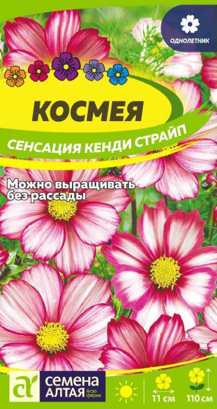 Космея Сенсация Кенди Страйп/Сем Алт/цп 0,5 гр.