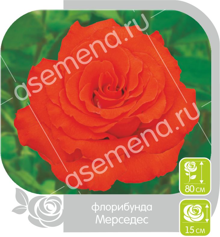 Мерседес/Сем Алт/1шт. в коробке