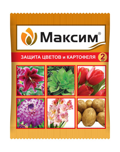 Максим 2 мл.