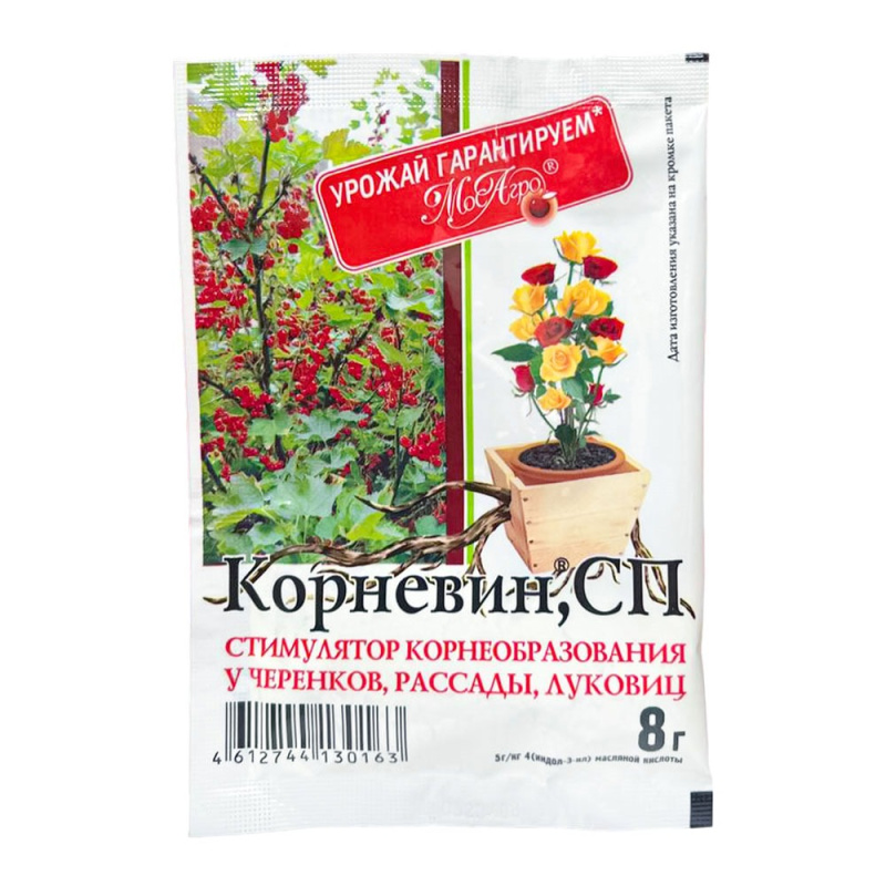 Корневин 8 гр.