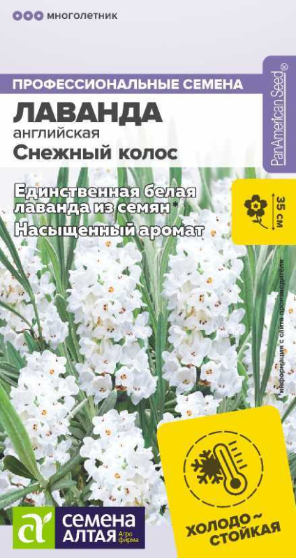 Лаванда Снежный колос английская/Сем Алт/цп 5 шт.