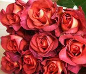 Кофе/Сем Алт/1шт. в коробке