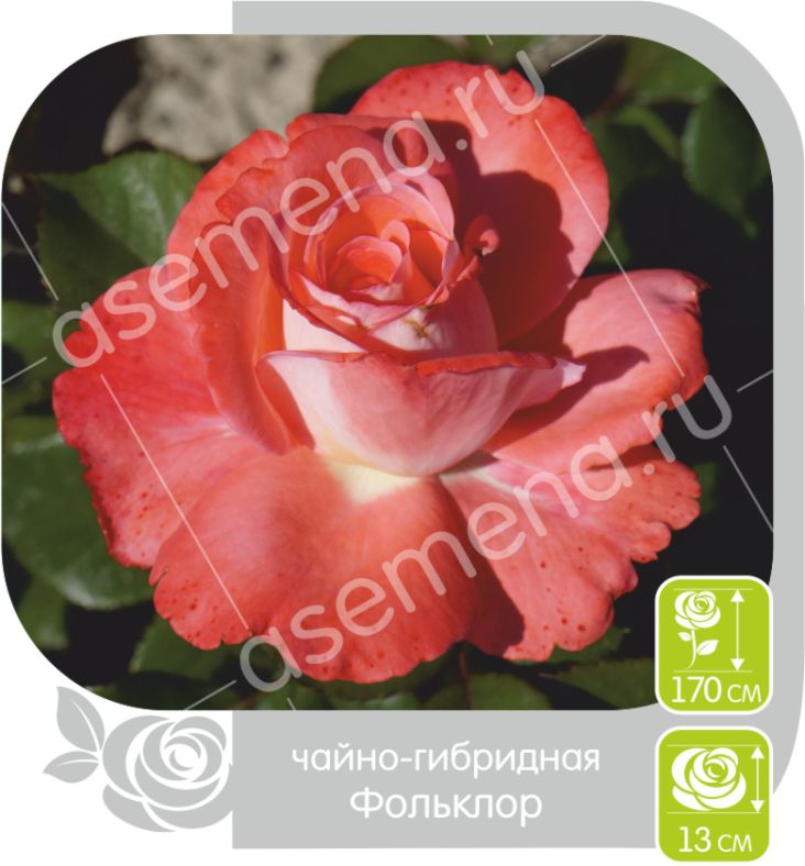 Фольклор/Сем Алт/1шт. в коробке