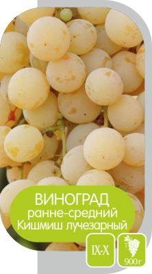Кишмиш Лучезарный/Сем Алт/1шт. в коробке