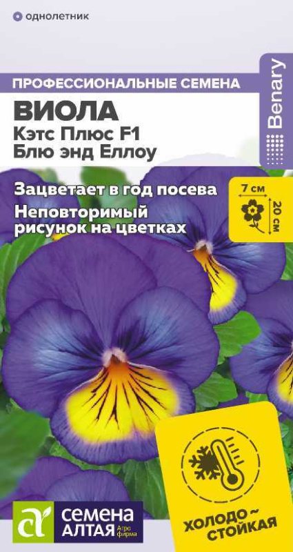 Виола Кэтс Плюс F1 Блю энд Еллоу/Сем Алт/цп 4 шт.