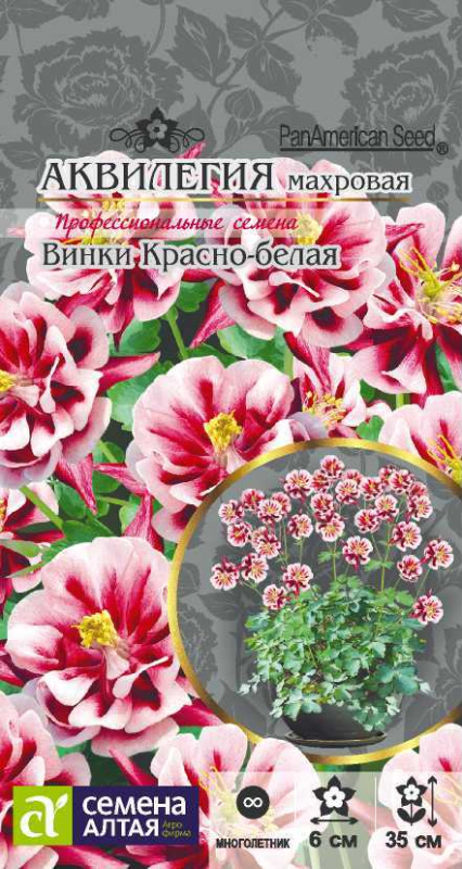 Аквилегия Винки Красно-белая махровая/Сем Алт/цп 5 шт.