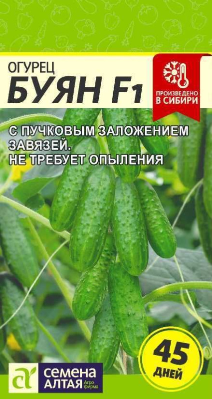Огурец Буян F1/Сем Алт/цп 5 шт.
