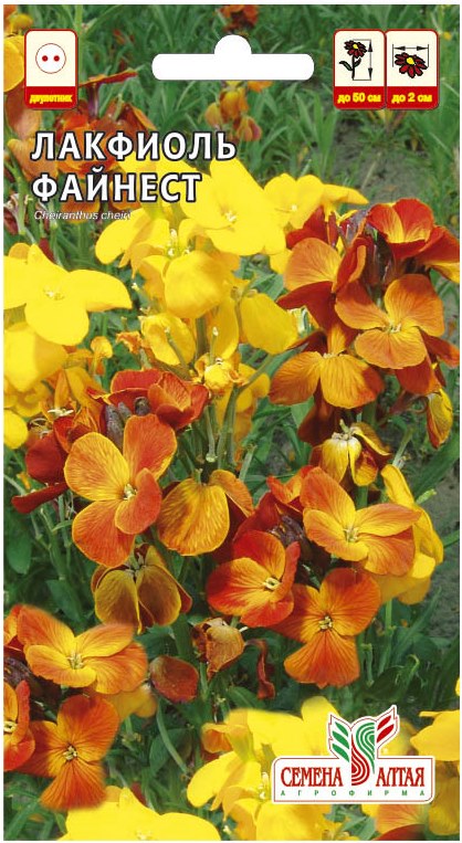 Лакфиоль Файнест/Сем Алт/цп 0,1 гр.