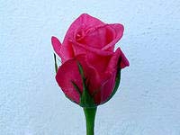 Претти Принцесс/Сем Алт/1 шт. в коробке