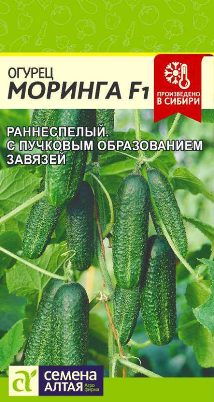 Огурец Моринга F1/Сем Алт/цп 10 шт.