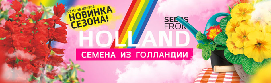 Семена из голландии