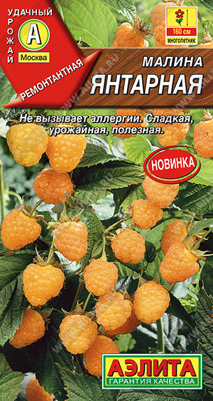 Малина Янтарная /Аэлита/цп
