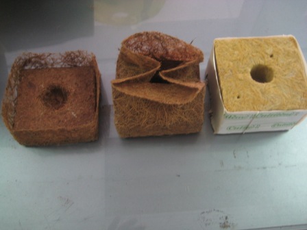 Кубик Кокосовый COCOLAND 10*10 см (1/100)