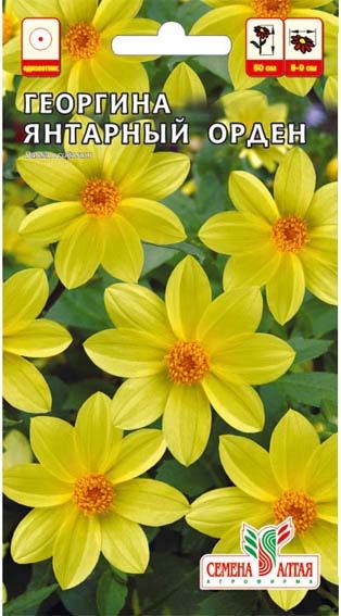 Георгина Янтарный Орден/Сем Алт/цп 0,2 гр.