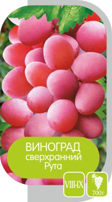 Рута/Сем Алт/1шт. в коробке