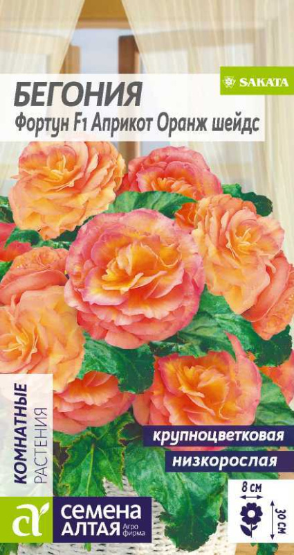 Бегония Фортун F1 Априкот Оранж шейдс клубневая/Сем Алт/цп 5 шт.