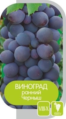 Черныш/Сем Алт/1шт. в коробке