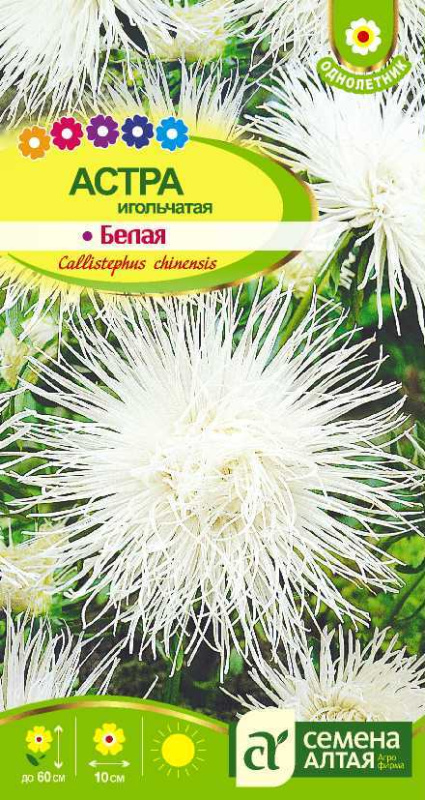 Астра Игольчатая Белая/Сем Алт/цп 0,3 гр.