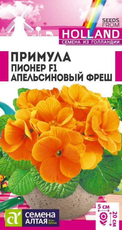 Примула Пионер F1 Апельсиновый фреш/Сем Алт/цп 5 шт