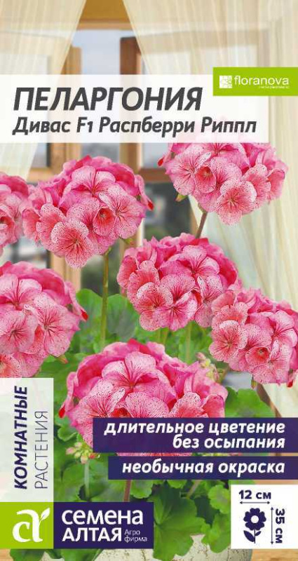 Пеларгония Дивас F1 Распберри Риппл зональная/Сем Алт/цп 4 шт.