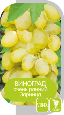 Зарница/Сем Алт/1шт. в коробке