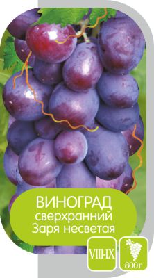 Заря Несветая/Сем Алт/1шт. в коробке