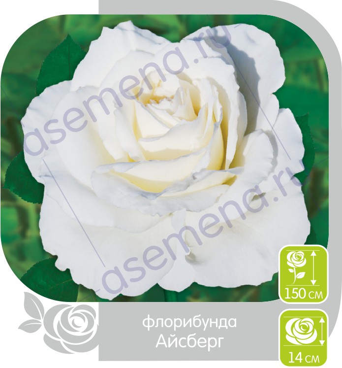 Айсберг/Сем Алт/1шт. в коробке