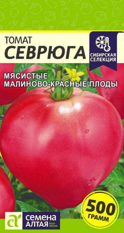 Томат Севрюга/Сем Алт/цп 0,05 гр. Сибирская Селекция!