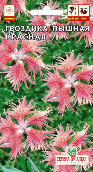 Цветы Гвоздика Красная Пышная/Сем Алт/цп 0,1 гр.