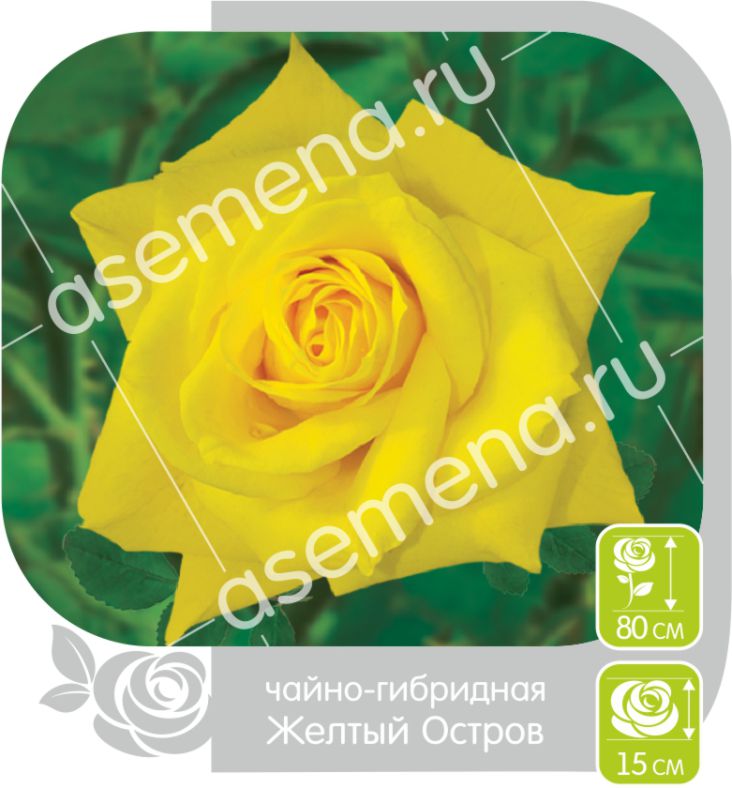 Желтый Остров/Сем Алт/1шт. в коробке