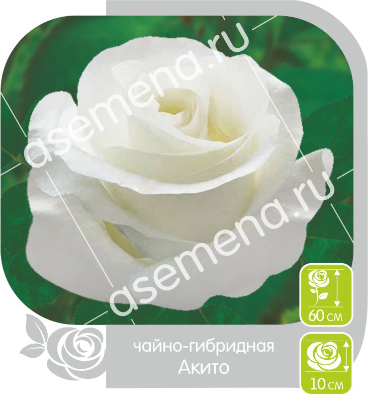 Акито/Сем Алт/1шт. в коробке