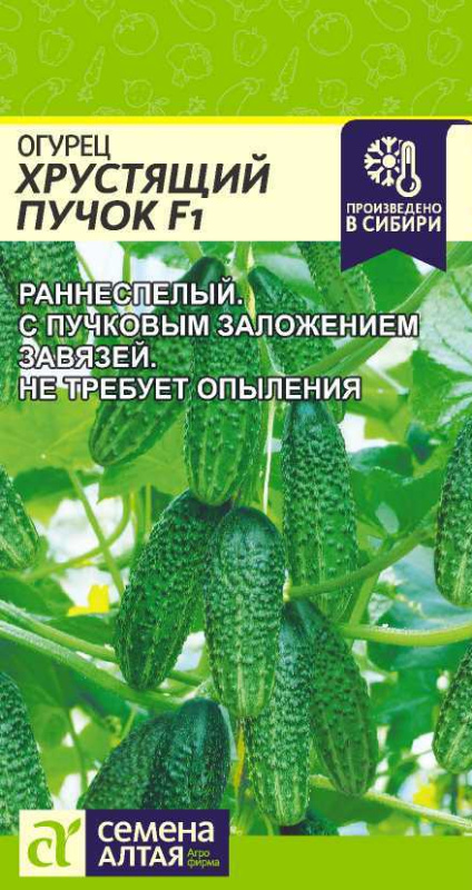 Огурец Хрустящий Пучок F1/Сем Алт/цп 6 шт.