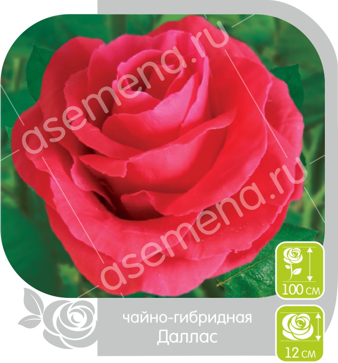 Даллас/Сем Алт/1 шт. в коробке