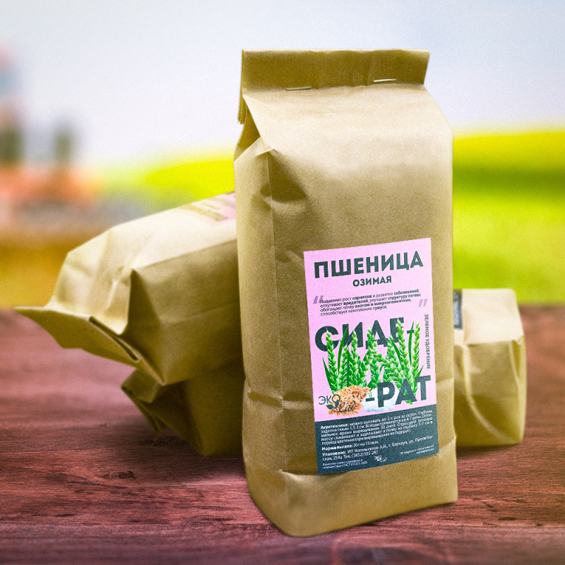 Пшеница озимая/Сем Алт/  500 гр.