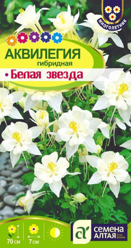 Аквилегия Белая Звезда гибр./Сем Алт/цп 0,1 гр.