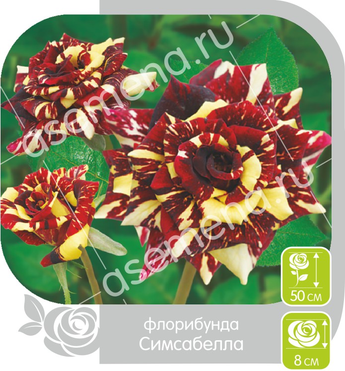 Симсабелла/Сем Алт/1шт. в коробке