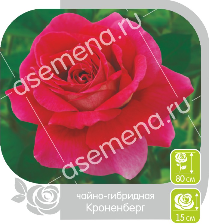 Кроненбург/Сем Алт/1шт. в коробке