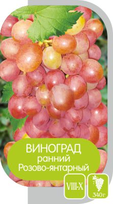 Розово-Янтарный/Сем Алт/1шт. в коробке