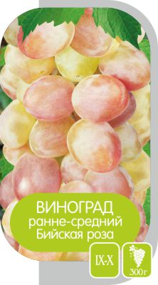 Бийская Роза/Сем Алт/1шт. в коробке