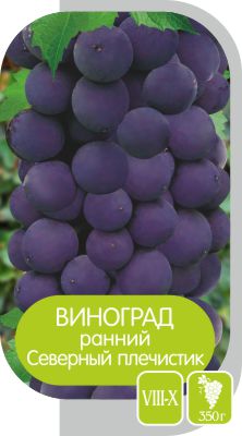 Северный Плечистик/Сем Алт/1шт. в коробке