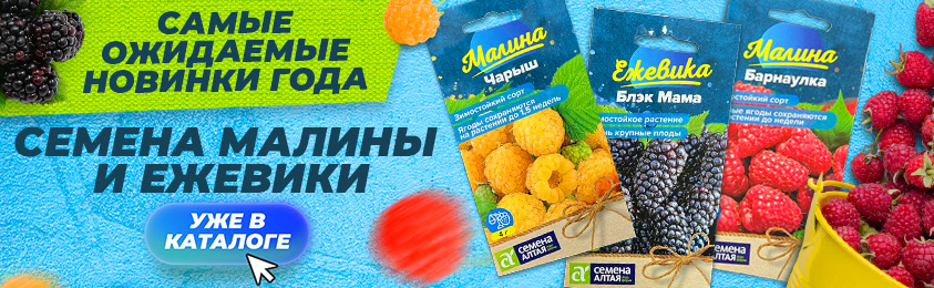Семена малины и ежевики