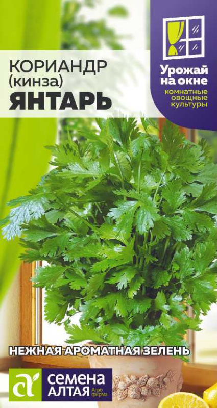 Кориандр Янтарь/Сем Алт/цп 2 гр. УРОЖАЙ НА ОКНЕ!