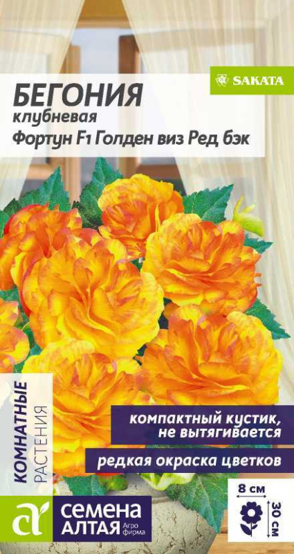 Бегония Фортун F1 Голден виз Ред Бэк клубневая/Сем Алт/цп 5 шт.