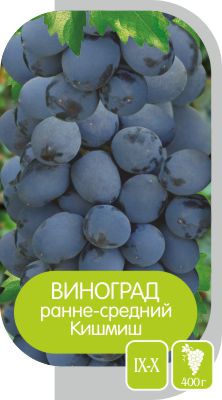 Кишмиш/Сем Алт/1шт. в коробке