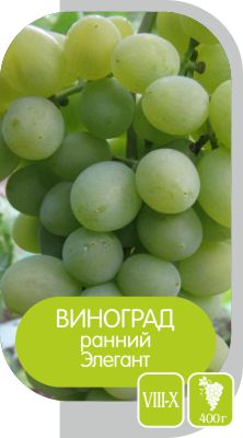 Элегант/Сем Алт/1шт. в коробке