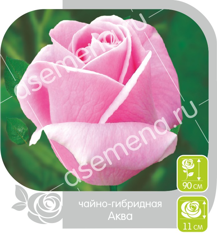 Аква/Сем Алт/1шт. в коробке