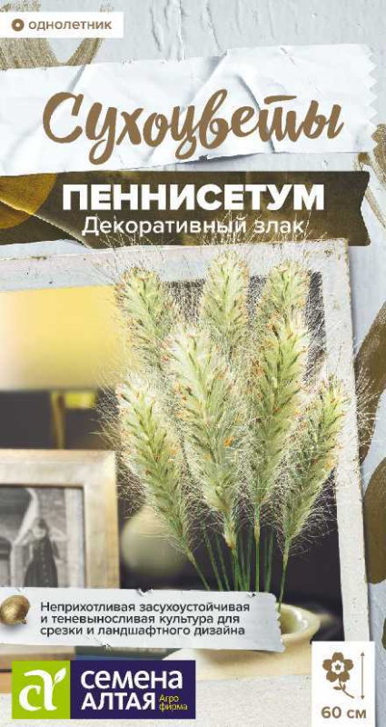 Пеннисетум Мохнатый злак декоративный/Сем Алт/цп 5 шт.