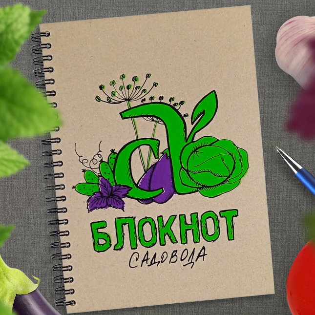 Блокнот Авторский Семена Алтая