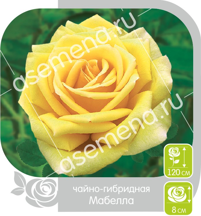 Мабелла/Сем Алт/1шт. в коробке